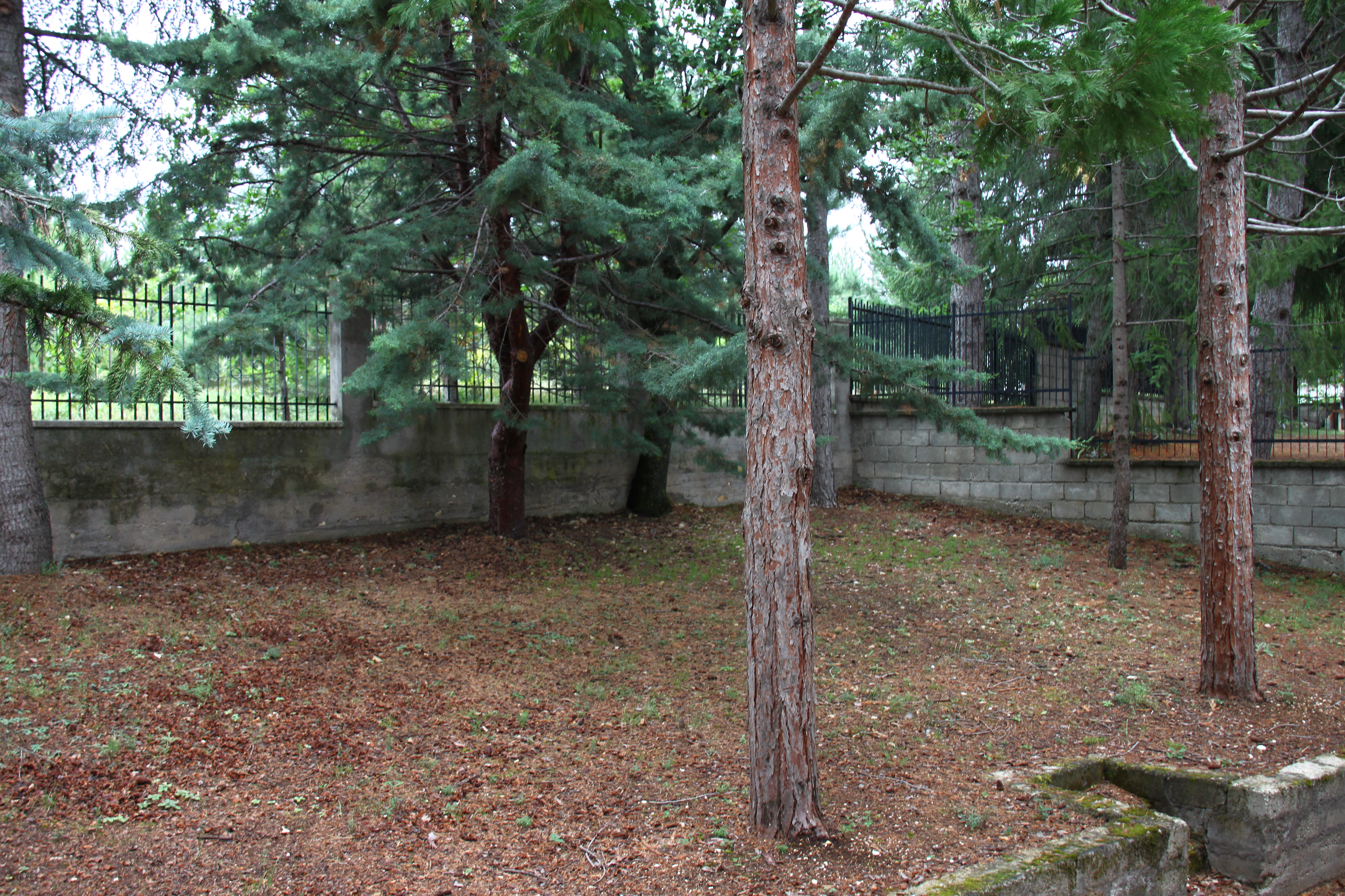campodigiove_7